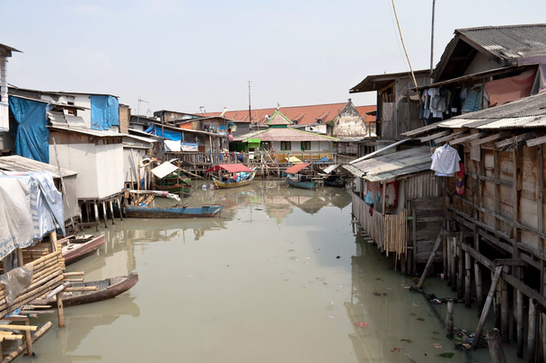 Slum a Jakarta
 - Foto, immagini