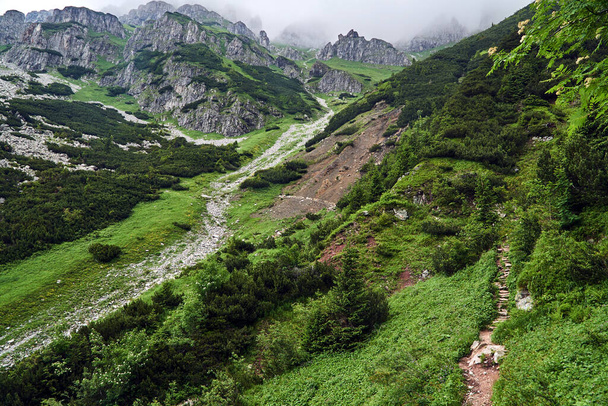 Una ladera de montaña con un pino de montaña y rocas de piedra caliza en las montañas Tatry en Polonia - Foto, Imagen