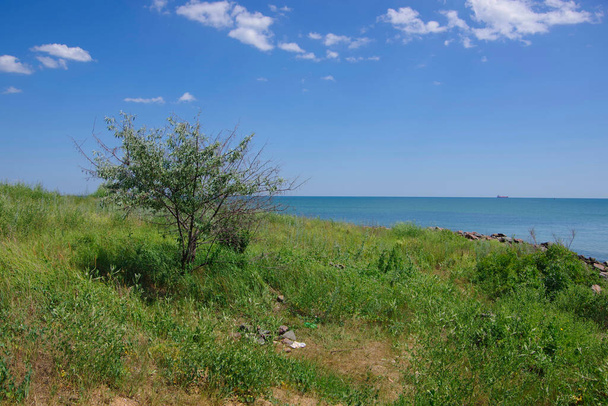 Hills on the Black Sea coast in Odessa region. - Photo, Image
