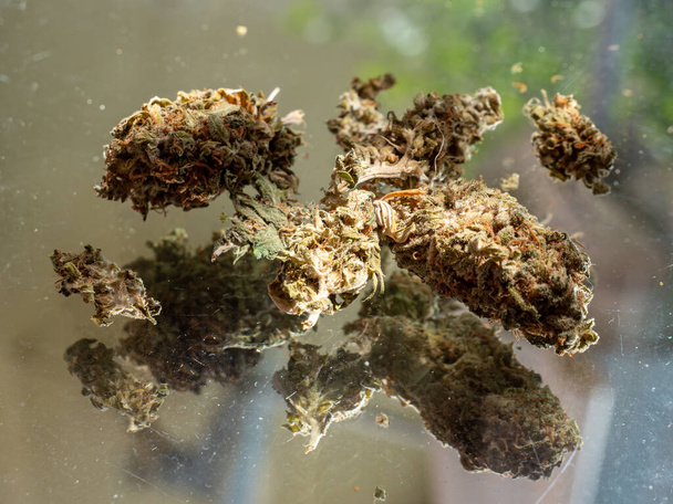 Yhteinen kannabiksen huumeiden rikkaruoho savu - Valokuva, kuva