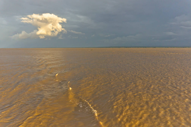 Přírodní krajina v Amazonské pánvi, Brazílie - Fotografie, Obrázek