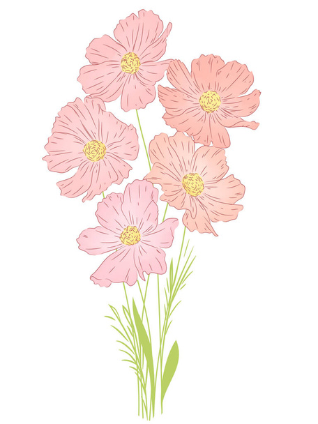 Ramo de delicadas flores rosadas
 - Vector, imagen
