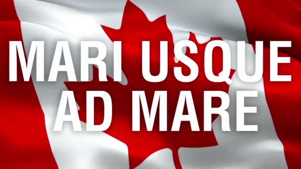 Mari Usque Ad Mare Canadian national motto on Canada flag. Canadian Flag background waving in wind. Red maple leaf flag Closeup 1080p HD video. Canada Day Montreal 1080p Full HD 1920X1080 footage video waving.Canada seamlessly footage video - Footage, Video