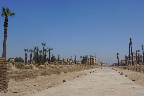 Louxor, Égypte : L'avenue des sphinx menant loin du temple Louxor, construite en 1400 av. J.-C. sur la rive est du Nil. - Photo, image