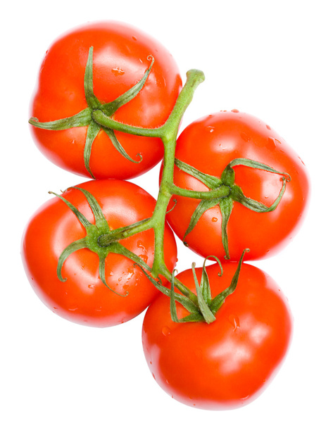 Twig of ripe tomatoes - Φωτογραφία, εικόνα