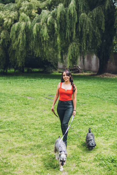Girl walking her dogs through a park, dressed in a red blouse and black pants, with a red bow on her head, her dogs are a Schnauzer and a black Shitzu. walking through the grass. 2 - Foto, Bild