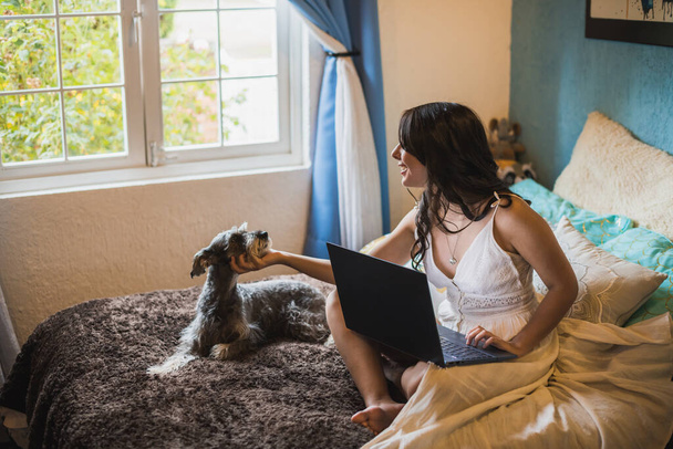 Mädchen, das an ihrem Computer arbeitet, in einem weißen Deckenkleid, auf ihrem Bett neben ihrem Schnauzerhund sitzend, eines Nachmittags bei der Arbeit und mit ihrem Haustier. - Foto, Bild
