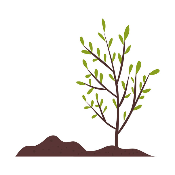 İzole mevsim ağacı vektör tasarımı - Vektör, Görsel