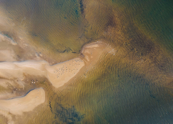 Waves on the yellow sandy beach ocean coast, view from the height - Valokuva, kuva