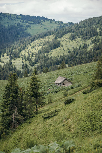 een close-up van een heuvel naast een berg - Foto, afbeelding