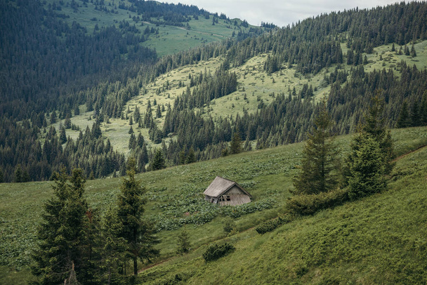 um close-up de uma colina ao lado de uma montanha - Foto, Imagem