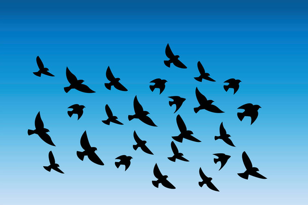 Vector silhouet van een zwerm vogels. Illustratie van een vlucht duiven in de lucht. Patroon van zwarte ganzen in de wolken. Voorraad foto. - Vector, afbeelding