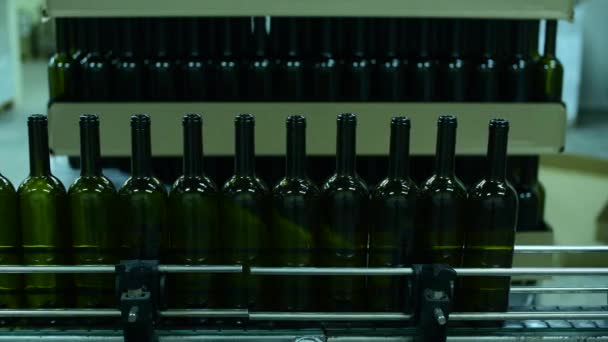 przenośnik z butelkami wina w fabryce wina. produkcja wina białego, paleta butelkowa - Materiał filmowy, wideo
