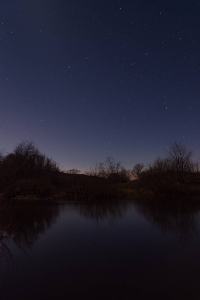 Forest by the river starry night in the moonlight - 写真・画像