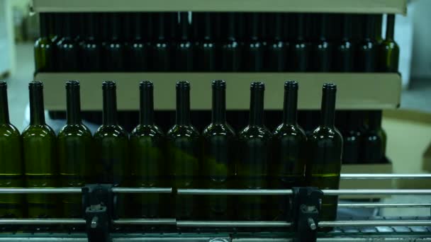 Şarap fabrikasında şarap şişeleri taşıyan taşıyıcı. Beyaz şarap üretimi, şişe paleti - Video, Çekim
