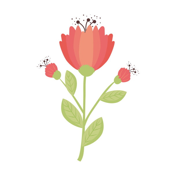 red flowers with leaves vector design - Vecteur, image