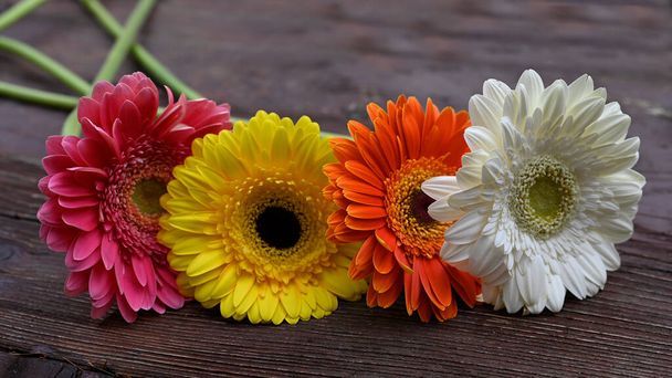 gerbera bloemen op houten tafel - Foto, afbeelding