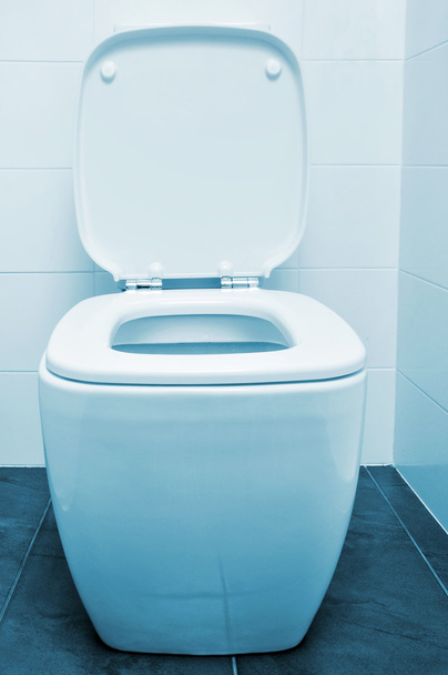 flush toilet - Fotoğraf, Görsel
