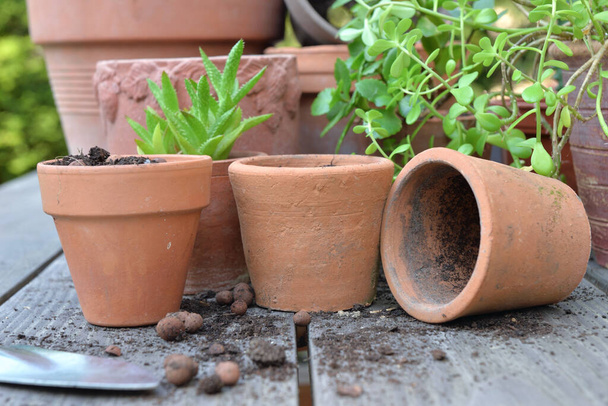 la mise en pot de plantes et de matériel de jardin sur une table dans un jardin  - Photo, image