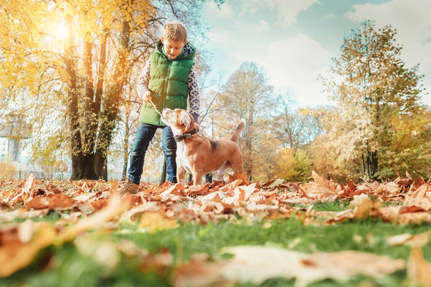 Boy playing with dog in autumn park - Foto, imagen