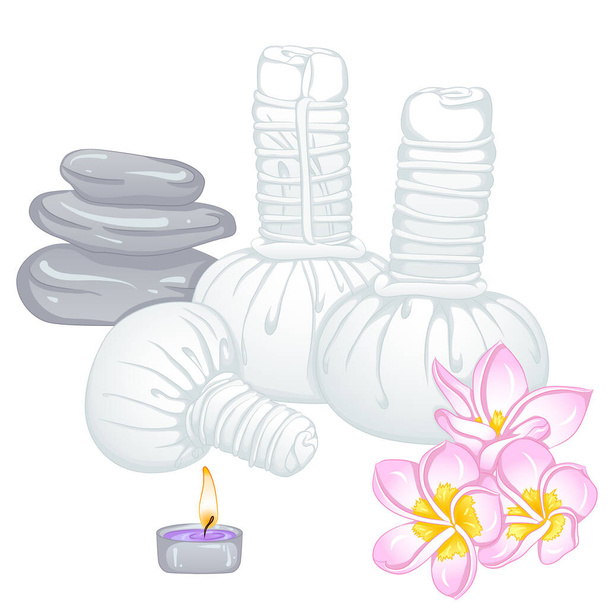Herbal pouches spa - Vector, Image