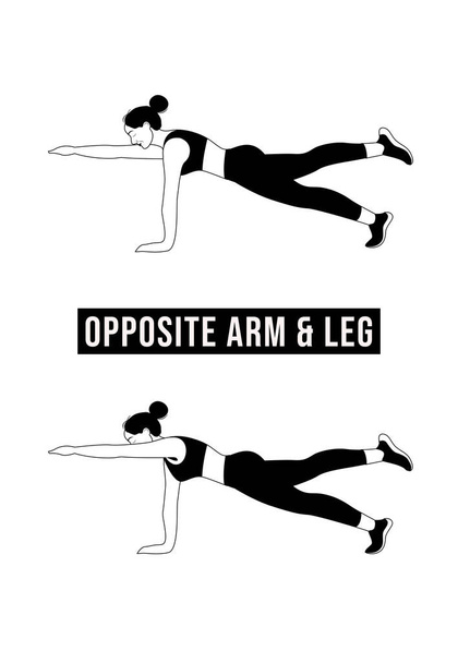 Chica haciendo ejercicio de brazo y pierna opuesta, ejercicio de la mujer fitness, aeróbico y ejercicios. Ilustración vectorial
 - Vector, Imagen