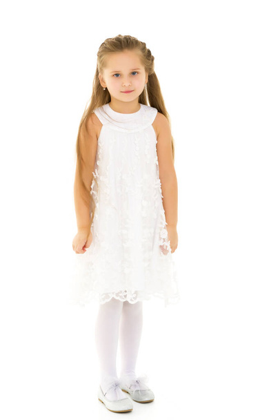 Little girl in an elegant dress.The concept of a happy childhood - Fotoğraf, Görsel