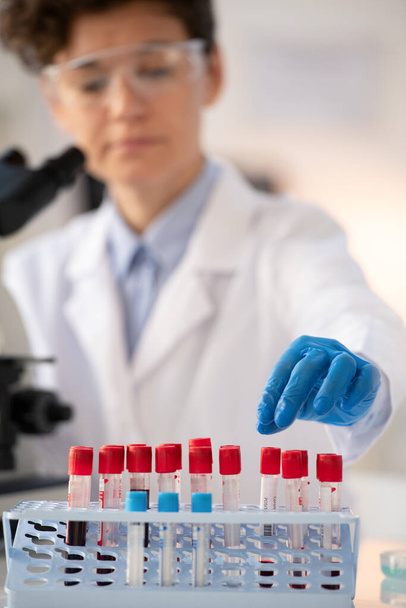 Zbliżenie pracownika laboratorium w niebieskich rękawiczkach sortującego próbki krwi w stojaku podczas wykonywania testów - Zdjęcie, obraz
