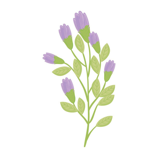 purple flowers with leaves vector design - Vector, Image