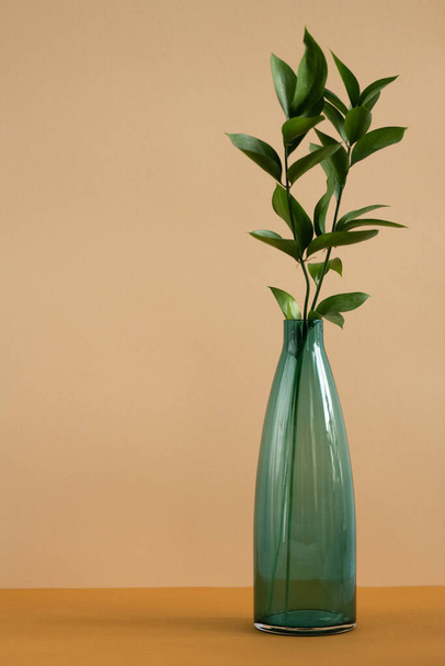 Μπουκάλι από μπλε γυαλί με φρέσκα πράσινα φύλλα φυτών που στέκονται στο τραπέζι ενάντια σε καφέ τοίχο ως μέρος του εσωτερικού χώρου ή στούντιο του σχεδιασμού - Φωτογραφία, εικόνα