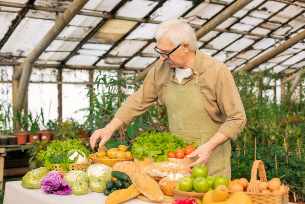 農家の市場で販売するための準備をしながら、カウンターに野菜を敷くエプロンの白髪のシニア栽培者 - 写真・画像