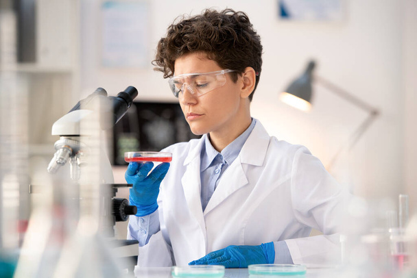 Especialista de laboratorio joven reflexivo en gafas de seguridad y guantes mirando la sustancia roja en la placa de Petri mientras que hace la investigación en laboratorio - Foto, Imagen