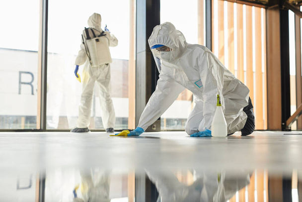 Full length portrait of two workers wearing protective suits cleaning surface inside during disinfection, copy space - Foto, afbeelding