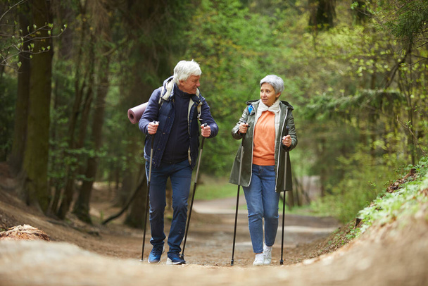 Ganzes Porträt eines aktiven Senioren-Paares, das mit Nordic-Stöcken auf die Kamera zugeht, während es eine Wanderung im wunderschönen Herbstwald genießt. - Foto, Bild