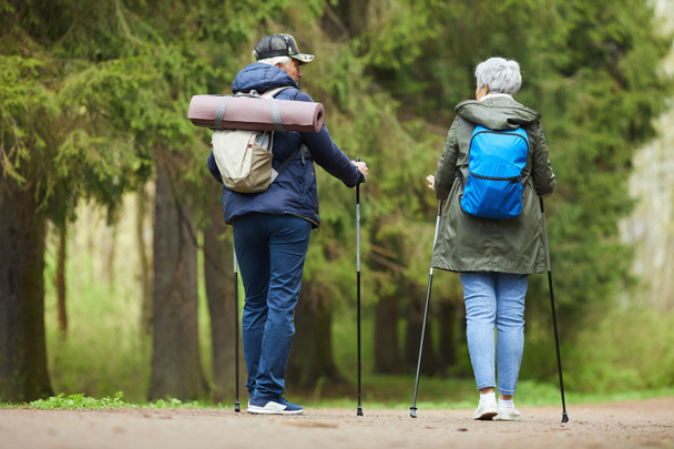 Rückseite Porträt eines aktiven Senioren-Paares, das beim Wandern im Wald Nordic Walking mit Stöcken genießt, Kopierraum - Foto, Bild