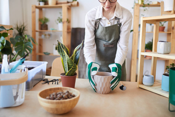 Cropped portrait of modern young woman potting plants while caring for home garden, copy space - Foto, afbeelding