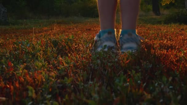 Pies piernas camina sobre colorido verde verde otoño hierba vista trasera. Terneros de un niño en zapatillas de deporte caminando por el sendero del bosque. Zapatos de niños corriendo por el camino de cerca. Los niños pequeños deportes estilo de vida activo en el aire libre
 - Imágenes, Vídeo