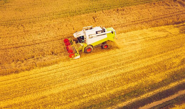 Una cosechadora moderna que trabaja un campo de trigo, vista aérea. Paisaje rural
 - Foto, Imagen