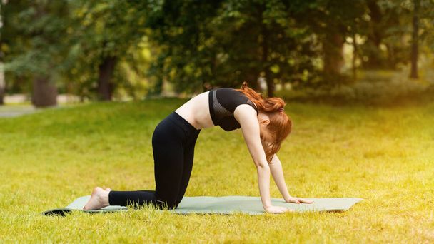 Millennial girl doing cat yoga pose während sie outdoor morgen praxis - Foto, Bild