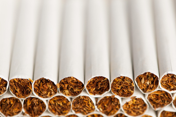 línea de producción de cigarrillos
 - Foto, imagen