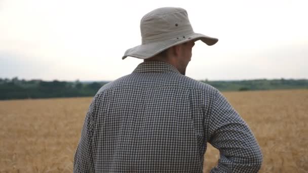 Rückansicht eines jungen Agronomen, der auf einer Weizenwiese steht, sich der Kamera zuwendet und lacht. Männliche Bauern amüsieren sich vor dem verschwommenen Hintergrund des Gerstenfeldes. Konzept des landwirtschaftlichen Betriebs. Langsames Wachstum - Filmmaterial, Video