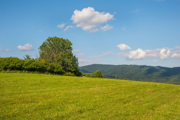 Countryside at high noon. Rural scenery with trees and fields on the rolling hills at the foot of the ridge. - Photo, Image