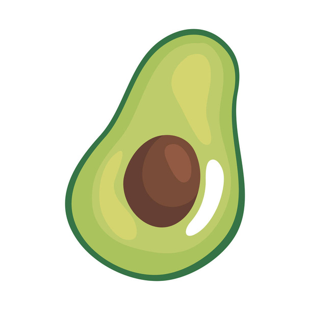 Isolated avocado fruit vector design - Vector, Image