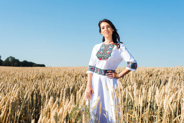 Una chica joven, guapa y bonita con un traje tradicional ucraniano brillante en un campo de trigo dorado
. - Foto, Imagen