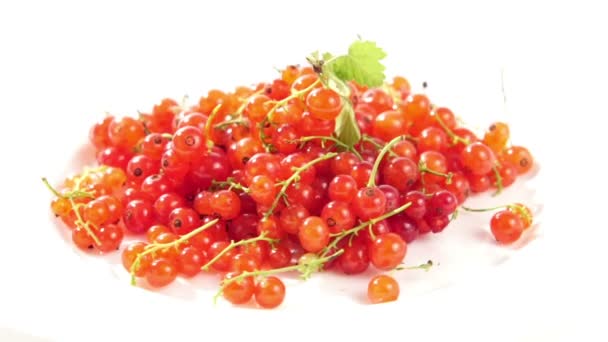Спелые ягоды красной смородины на белой тарелке на белом фоне
. - Кадры, видео