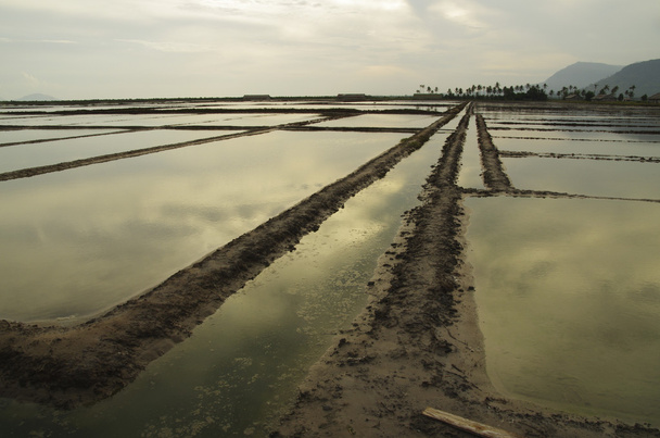 Gran campo de sal marina en Camboya
 - Foto, imagen