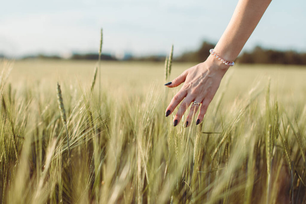 A mão da mulher toca jovens espigas de trigo ao pôr-do-sol ou ao nascer do sol. Paisagem rural e natural. 2
 - Foto, Imagem