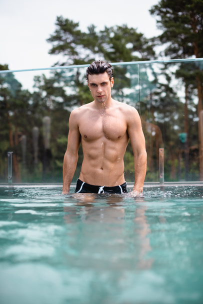 enfoque selectivo del hombre húmedo y muscular de pie en la piscina
 - Foto, Imagen