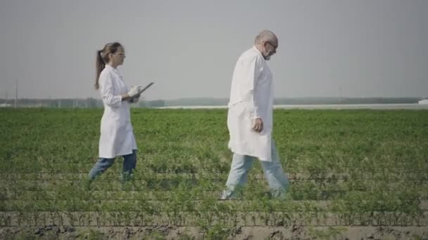 Agronomy scientists work in field - Footage, Video