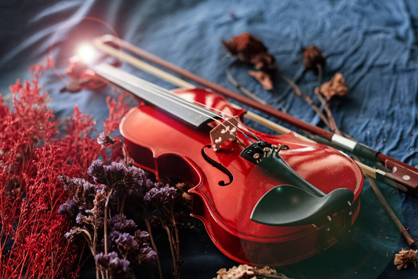 Скрипка і лук поставлені поруч сушеною квіткою на тлі гранджу, вінтажний і художній тон, класичний стиль. - Фото, зображення